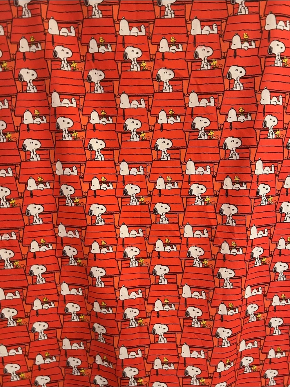 Peanuts Gang snoopy woodstock